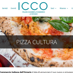 ICCO progetto Start-Up Pack