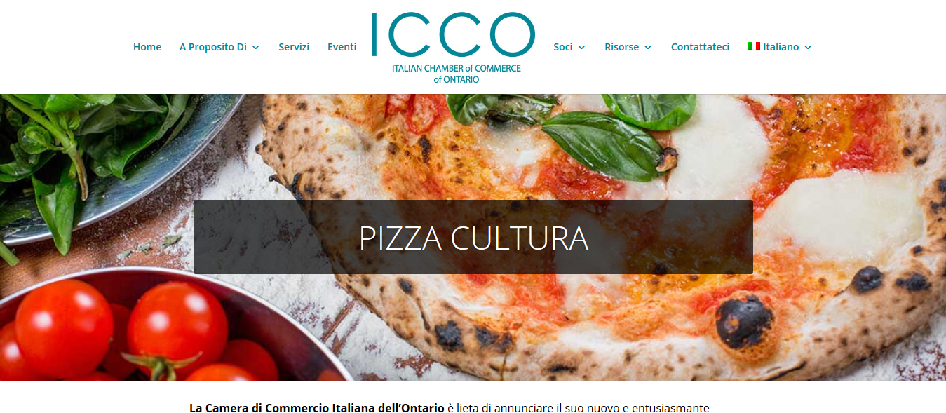 ICCO progetto Start-Up Pack